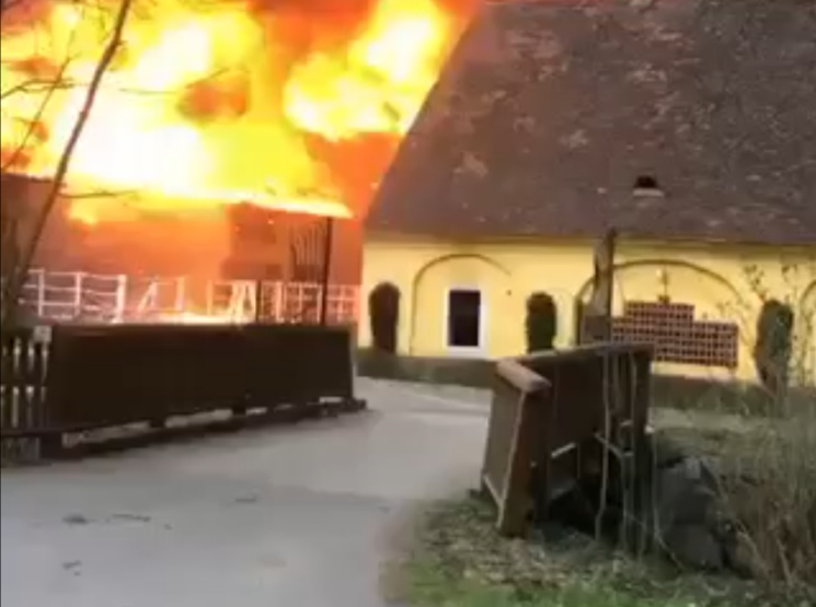 Das Flammeninfero forderte einen dramatischen Blutzoll – sieben Pferde konnten nur noch tot geborgen werden.
